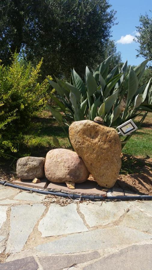 Da Patrizia Bed & Breakfast Alghero Exterior photo